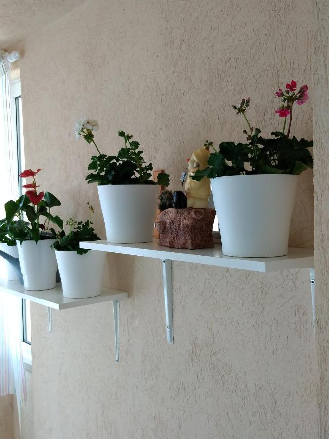 Heart Of Makarska Apartment Exterior foto